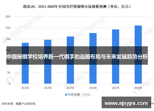 中国围棋学校培养新一代棋手的战略布局与未来发展趋势分析